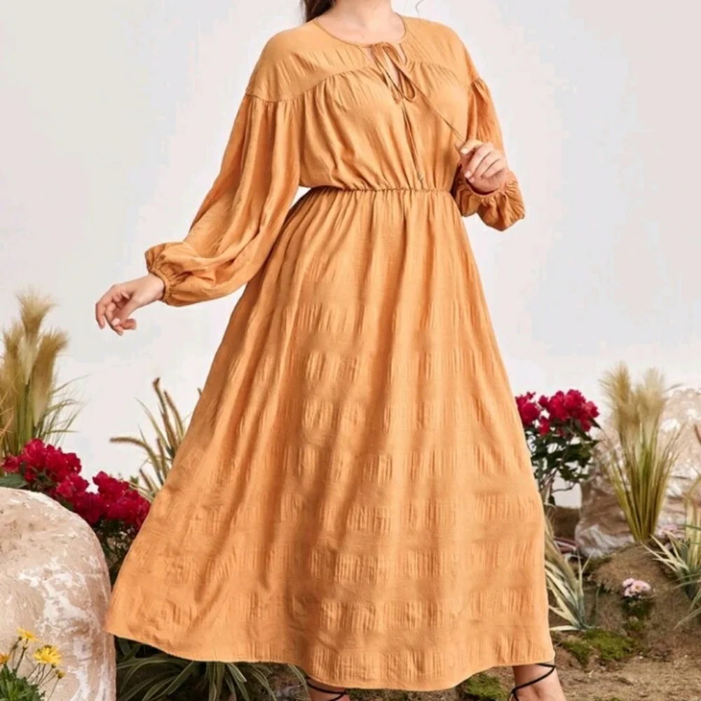#31 Brand New Plus Tie Neck A Line Dress - Picture 5 of 5